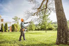 How Our Tree Care Process Works  in  Mila Doce, TX