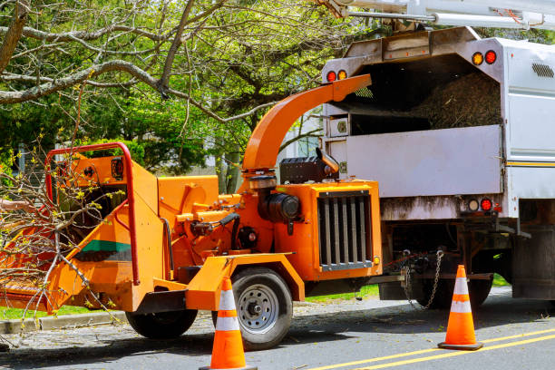  Mila Doce, TX Tree Services Pros